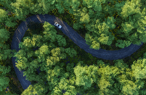 How We Get Japanese-Imported Cars Ready For UK Roads